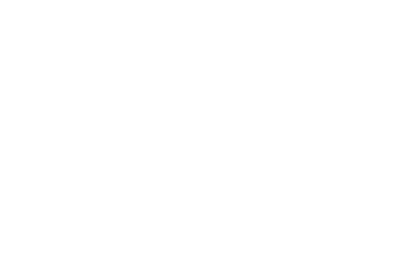 ONLINE STORE